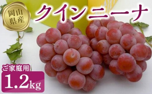 クインニーナ1.2kg（ご家庭用）