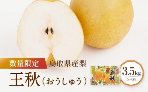 【先行予約】数量限定 鳥取県産梨 王秋（おうしゅう） 3.5kg（5～6玉） 
