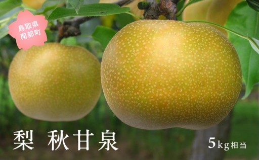【締切直前・出荷間近！】鳥取限定品種「秋甘泉」！