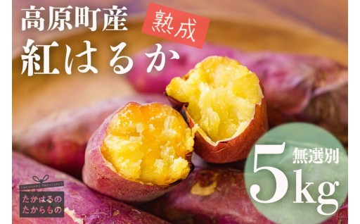 受付再開しました🎉秋の味覚🍂 【 熟成紅はるか】