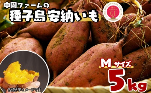 種子島 中園ファーム 安納いも ( 生芋 ) M サイズ 5kg