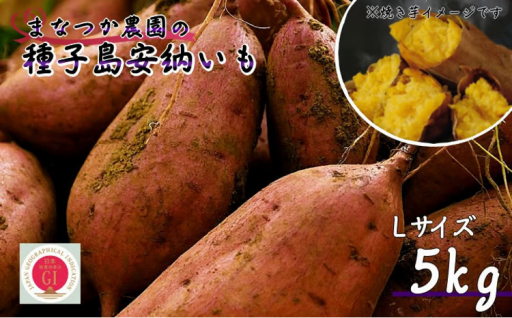 【 新物】 種子島 まなつか農園 種子島安納いも ( 生いも ) Lサイズ 5kg