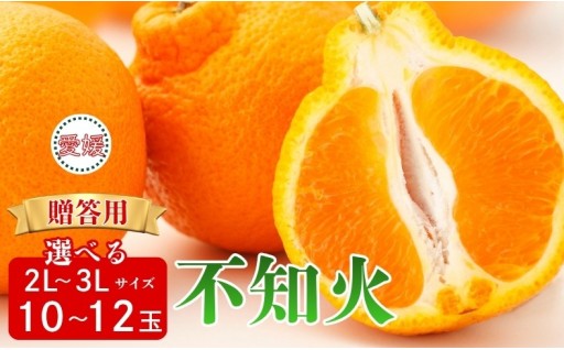 🍊贈答用🍊不知火 2Lサイズ 3Lサイズ🎁選べるサイズ