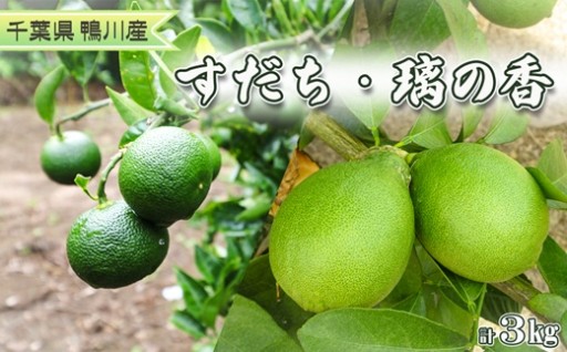 【9/23まで】皮まで安心✨旬の香酸柑橘セット🍋
