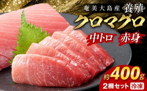 クロマグロ 2柵セット 400g以上