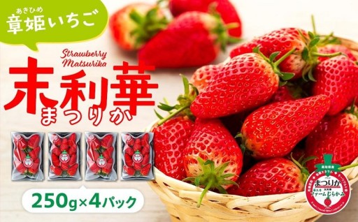 章姫(あきひめ)いちご 4P(250g×4) 「末利華(まつりか)」