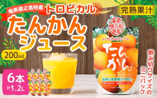 天城町産 生搾り完熟果汁100％ 宝果樹園 ミニタンカンジュース 6本セット（200ml×6本） 
