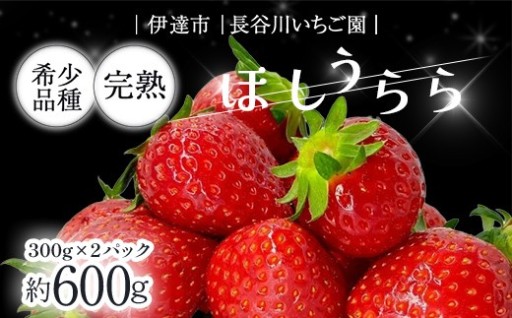 【先行予約】長谷川いちご園ほしうらら＼希少品種／