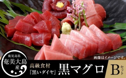 クロマグロ 鹿児島県奄美大島産高級食材『黒いダイヤ』黒マグロ Bセット