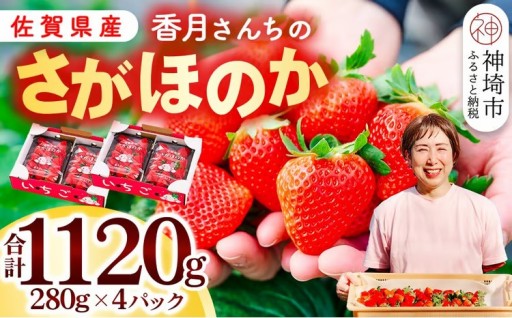 【先行受付】甘みと酸味のバランスが絶妙🍓さがほのか