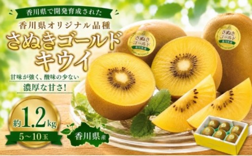 さぬきゴールドキウイ 約1.2kg