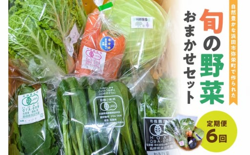 直接お届け！🥬旬の野菜🥬おまかせ定期便🎈