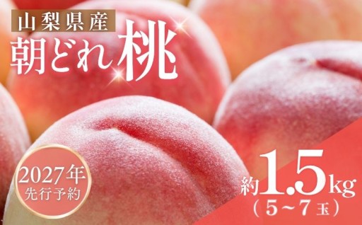 ２０２７年先行予約！都留市産朝採れの特選桃