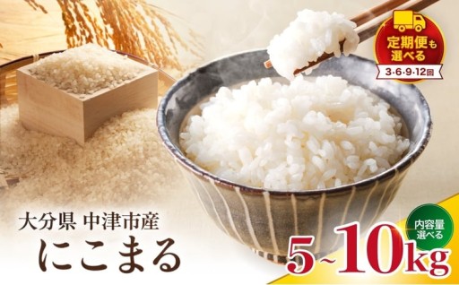 【寄附使途限定】大分県中津市産 やまくに誉 (ほまれ) にこまる 選べる 5kg / 10kg　1回 ～ 12回