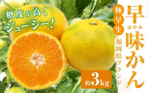 【9月30日まで】福岡県ブランド みかん 「早味かん」 3kg