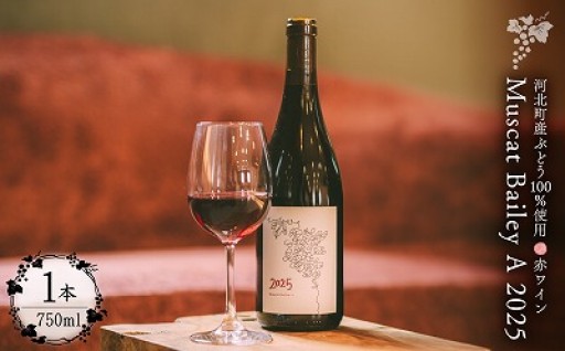 🍷Muscat Bailey A 2025🍷