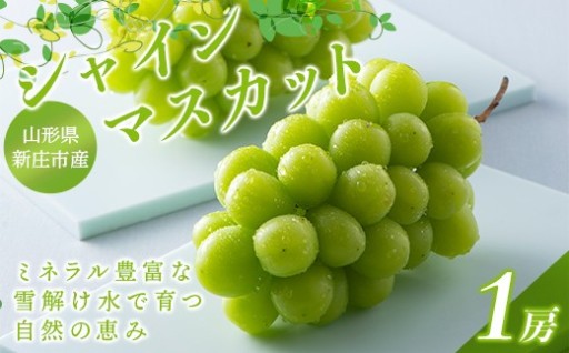 山形県産 シャインマスカット 1房 約650g