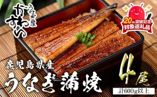 鹿児島県産 うなぎ蒲焼4本 (計600g以上)