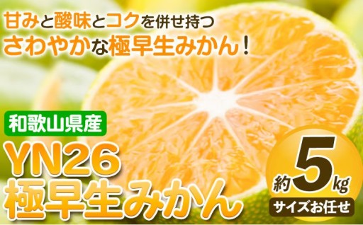 さわやかな味わい YN26極早生みかん 約5kg🍊