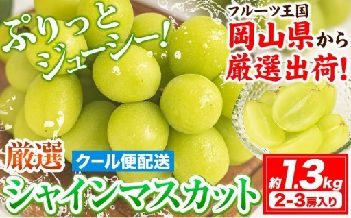 種なし皮ごと！厳選シャインマスカット 1.3kg