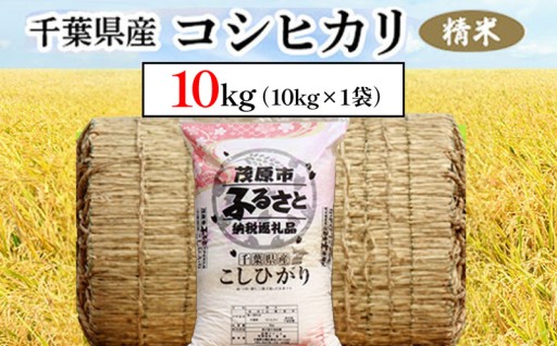 【有限会社岩瀬】　お礼品を追加しました！