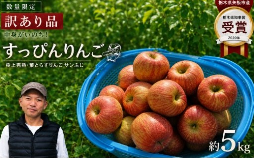訳あり品登場！加藤農園の「すっぴんりんご」