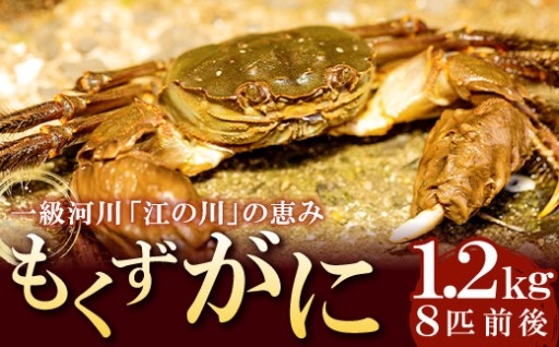 🦀江の川の恵み！絶品濃厚な「大輪モクズガニ」🦀