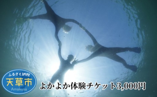 🥽🤿天草の海で最高の「良か余暇」を🐠📸