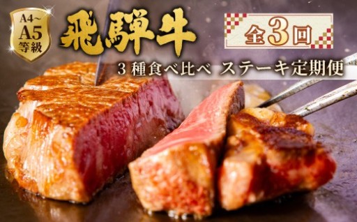 全3回 飛騨牛 ステーキ定期便 A5 A4 ステーキソース付き