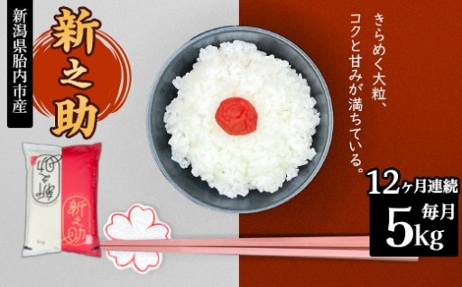 【令和8年産 新米予約🍚】新潟県産ちょっと贅沢な新之助5kg（12ヶ月定期便）