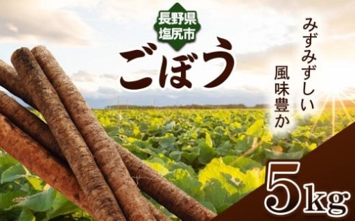 【格別の品質と味！】塩尻市産 ごぼう 約 5kg 