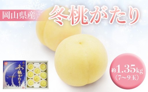【冬の贅沢な味覚】岡山冬桃がたり 約1.35kg（7～9玉）