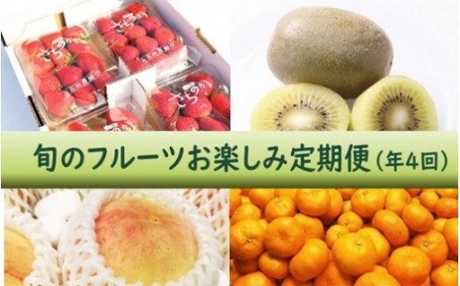 【年4回季節】旬のフルーツお楽しみ定期便