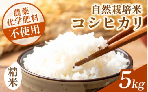 【先行予約】“自然栽培”で育てた特別な一粒🍚
