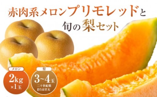 【先行予約】925.【ふるさと納税】【赤肉系メロン】プリモレッド (メロン) と旬の梨セット