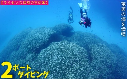 奄美の海を満喫　2ボートダイビング【ライセンス保有の方対象】 