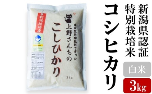 【9/7終了】R8年産新米コシヒカリ白米3kg 