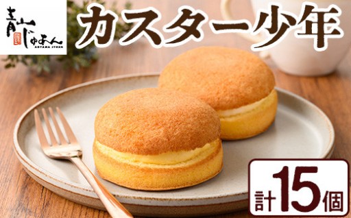 🍰カスター少年(15個入)