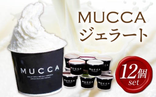 【香川県三木町】MUCCAジェラート　8個セット