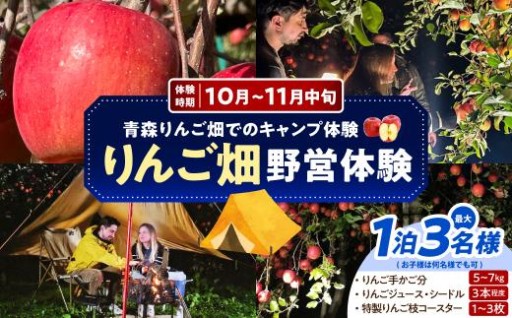 ⛺🍎野営体験 りんご畑キャンプ 1組 青森県五所川原市🍎⛺