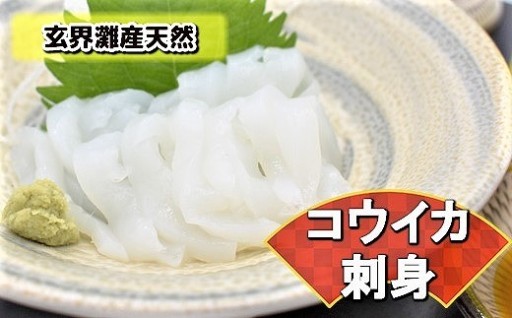 これは食べなイカん！お刺身コウイカ600g