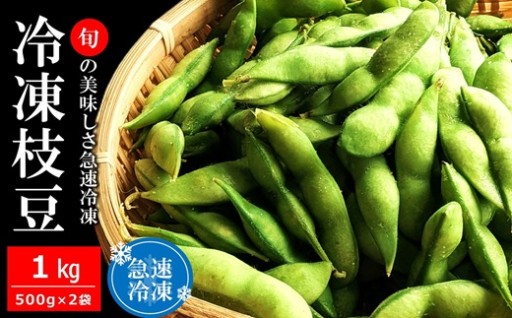 【NEW】やたらうんめぇ 新潟県産冷凍枝豆1kg