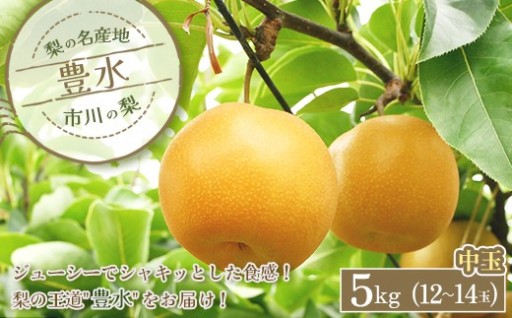 市川の梨　豊水　中玉　約5kg（12～14玉）
