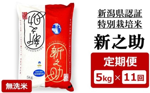 【NEW】R8年産新米新之助5kg×11回定期便