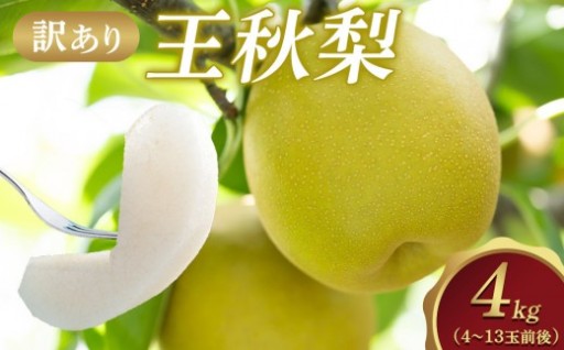 【先行予約】【訳あり】王秋梨 4kg（4～13玉前後）