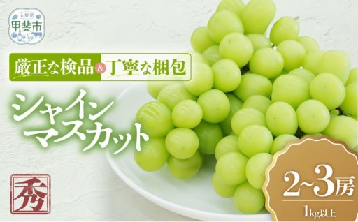 こだわりシャインマスカット 2～3房 1kg以上