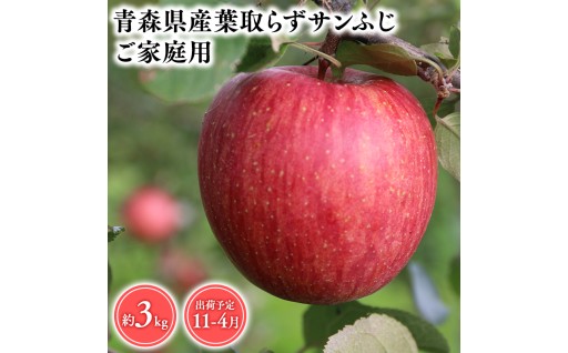 2026年産≪選べる発送月≫ １１月～４月発送　【訳あり】家庭用葉とらずサンふじ3kg