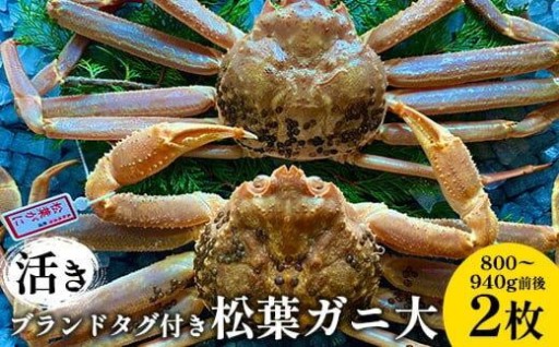 【活き】ブランドタグ付き松葉ガニ 大　800～940g前後 2枚