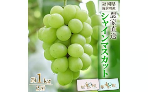 【順次発送開始】シャインマスカット 約1kg（2房)【2026年発送】