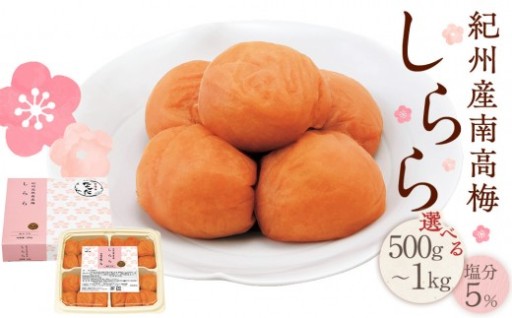 ★高評価★【選べる容量】紀州産南高梅 梅干し しらら 500g～1kg 減塩 梅干 塩分5% 中田食品